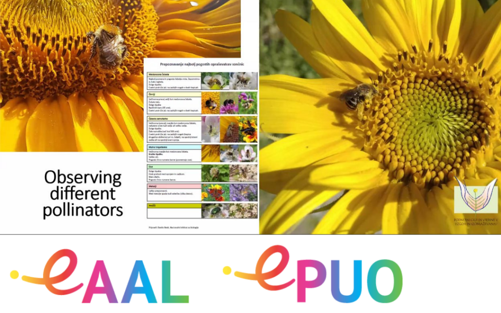 Projekt EPUO v polnem zagonu